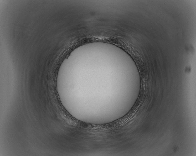 X0000093411393200710120906