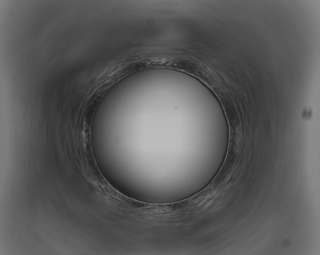 X0000093411394200710120906