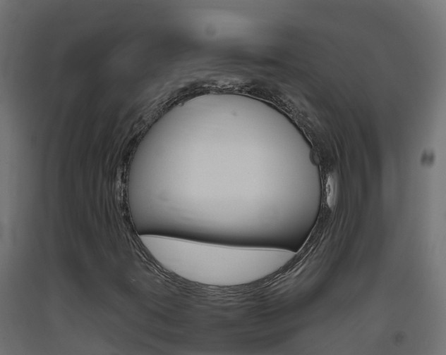 X0000093411395200710120906