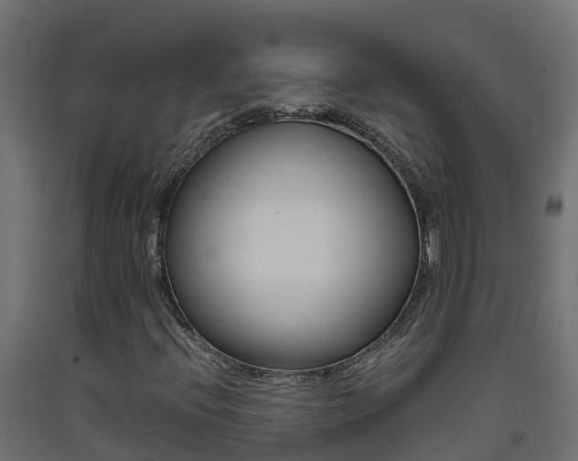 X0000093411396200710120906