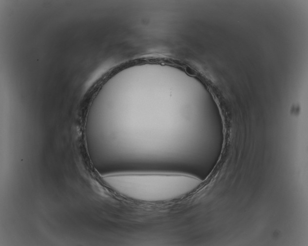 X0000093411400200710120906