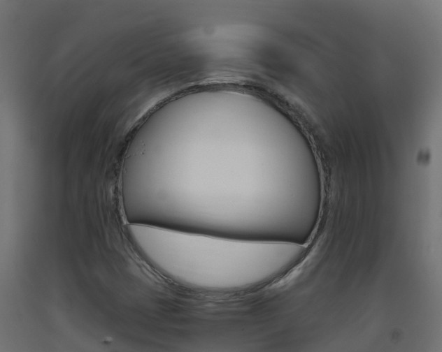 X0000093411401200710120906
