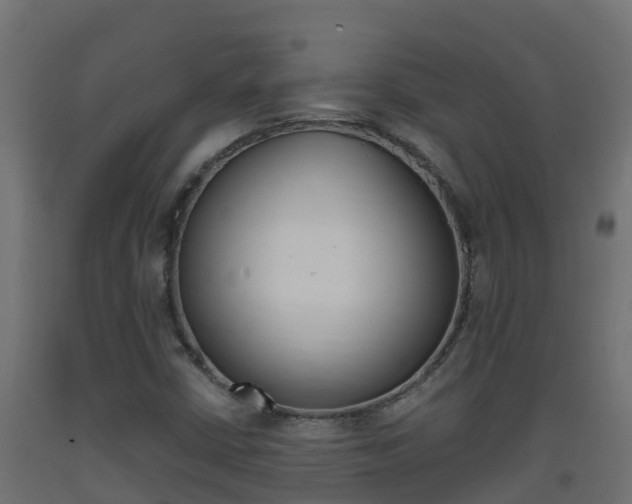 X0000093411402200710120906