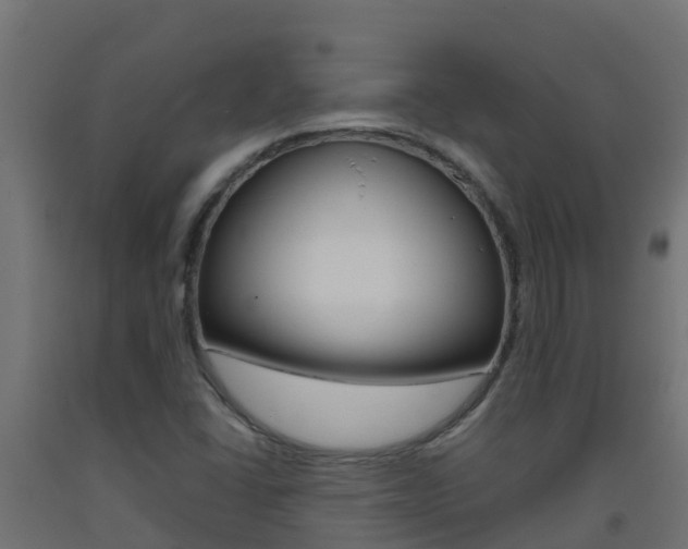 X0000093411406200710120906