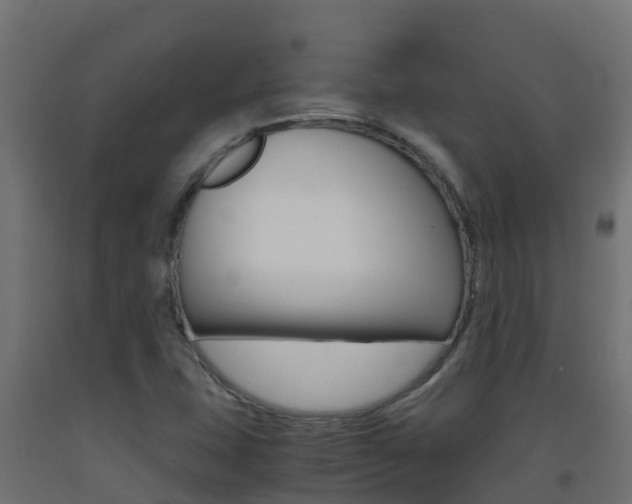 X0000093411407200710120906