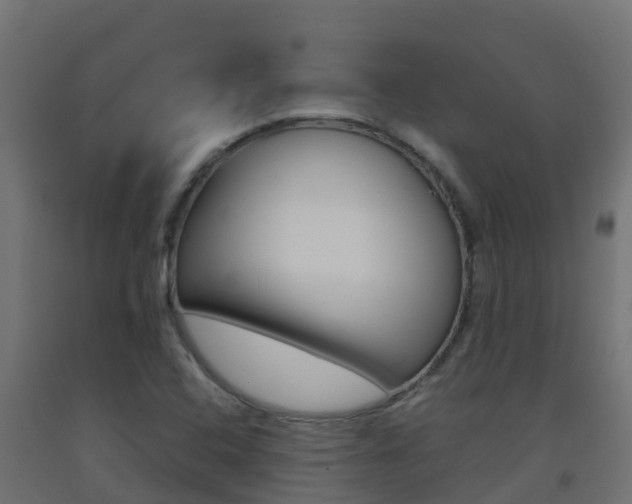 X0000093411408200710120906