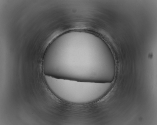 X0000093411409200710120906