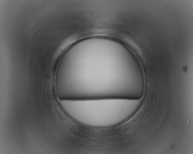 X0000093411411200710120907