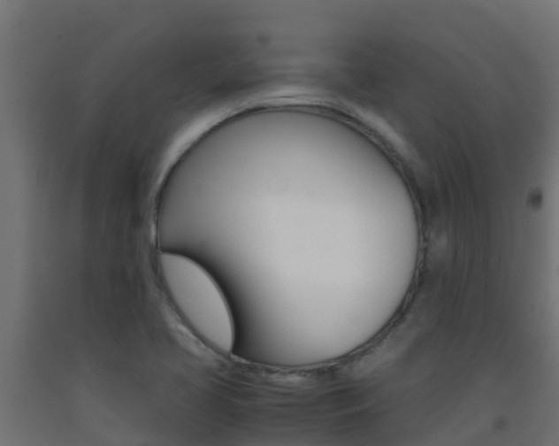 X0000093411413200710120907