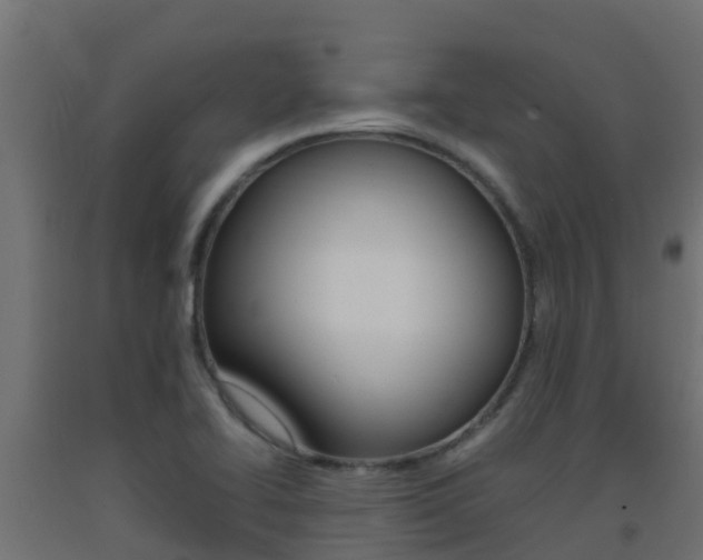 X0000093411414200710120907