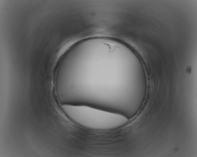 X0000093411415200710120907