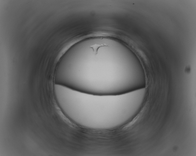 X0000093411417200710120907