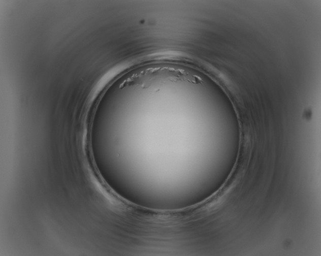 X0000093411418200710120907