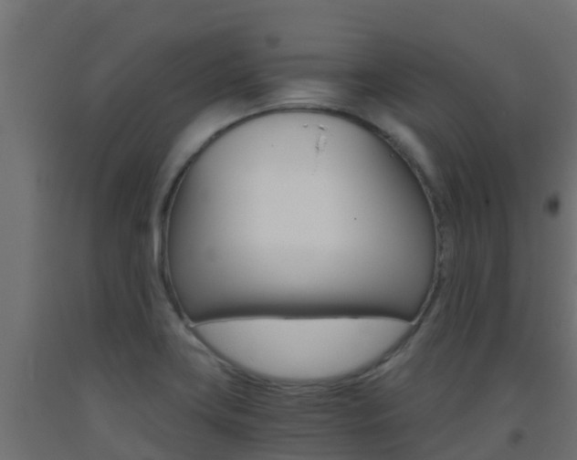 X0000093411419200710120907