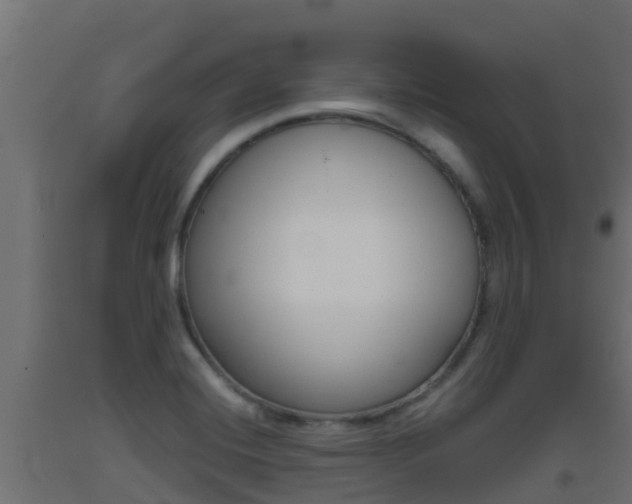 X0000093411420200710120907
