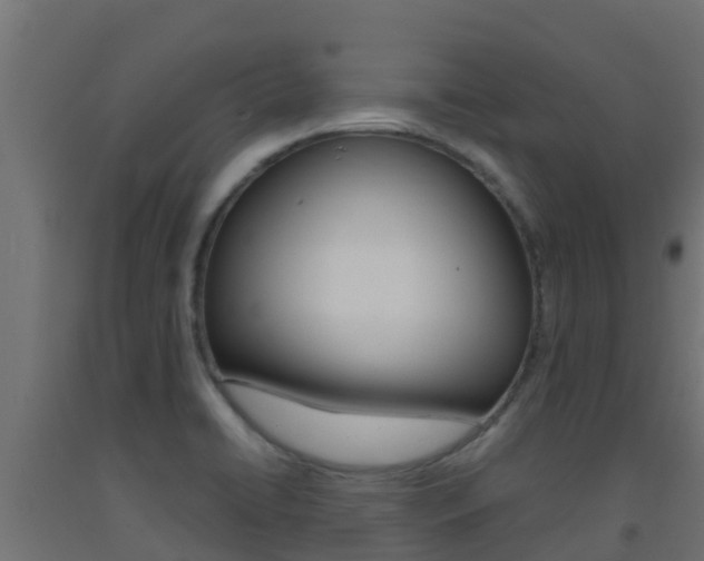 X0000093411422200710120907