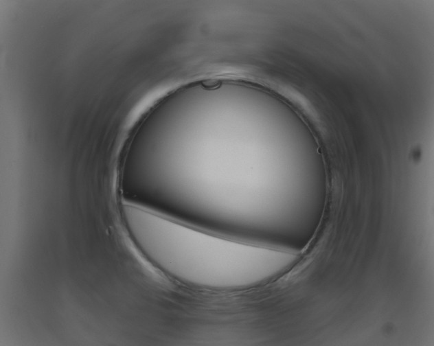 X0000093411424200710120907