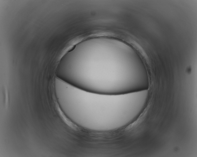 X0000093411425200710120907