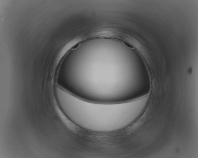 X0000093411426200710120907