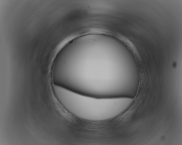 X0000093411427200710120907