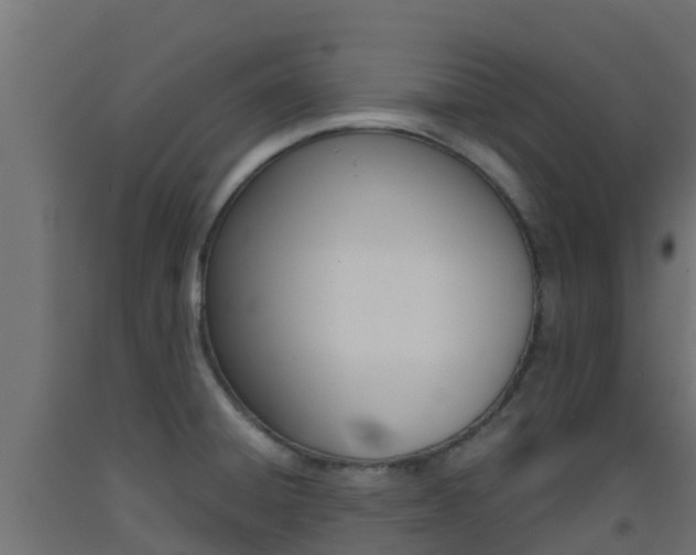 X0000093411428200710120907