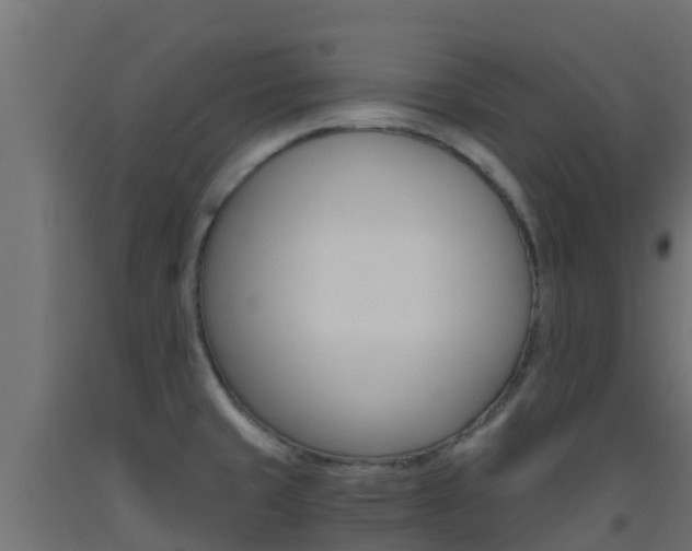 X0000093411429200710120907