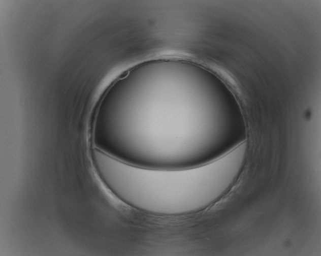 X0000093411430200710120907