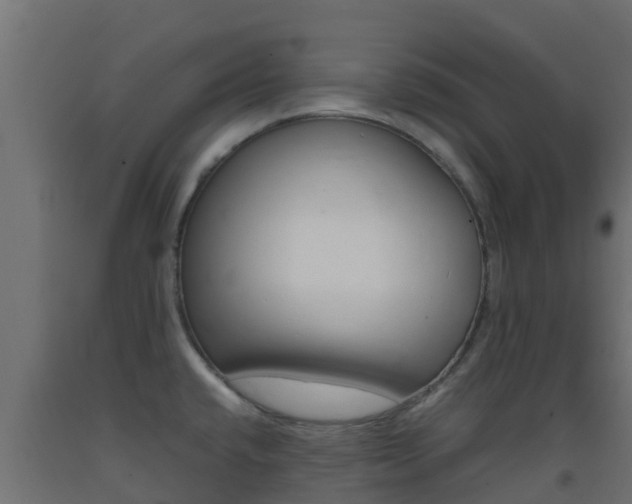 X0000093411432200710120907
