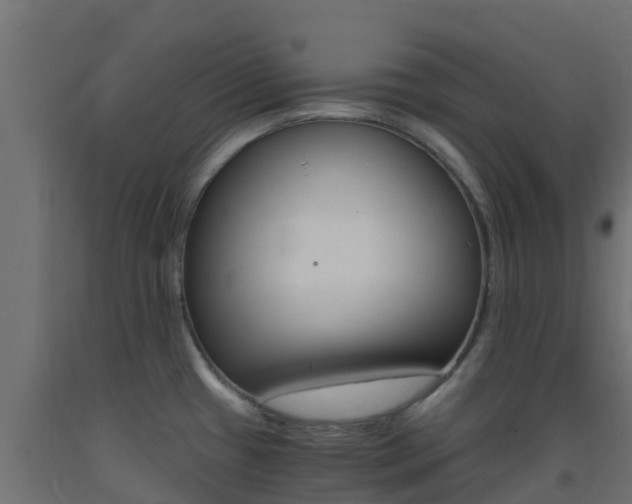 X0000093411433200710120907