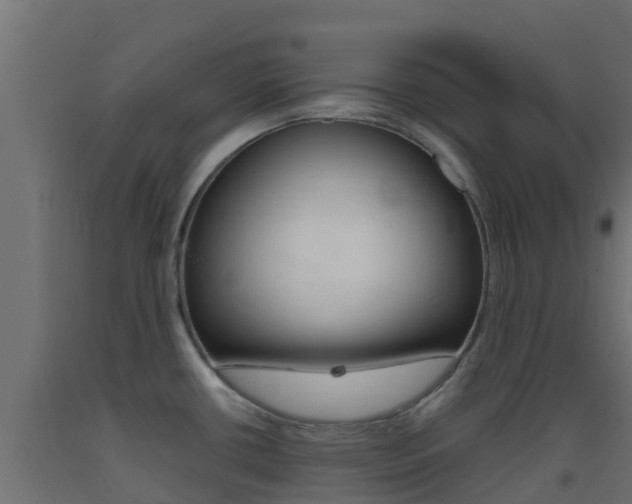 X0000093411434200710120907