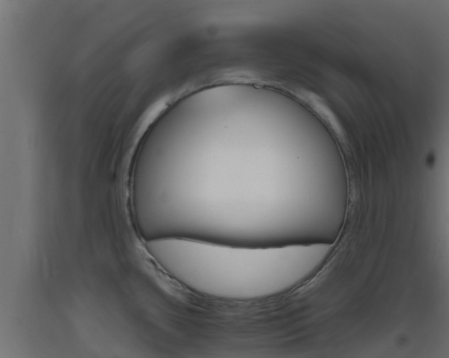X0000093411435200710120907