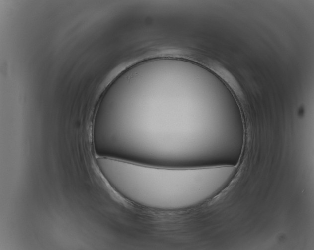 X0000093411436200710120907