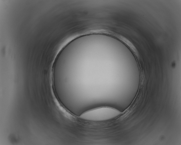 X0000093411439200710120907