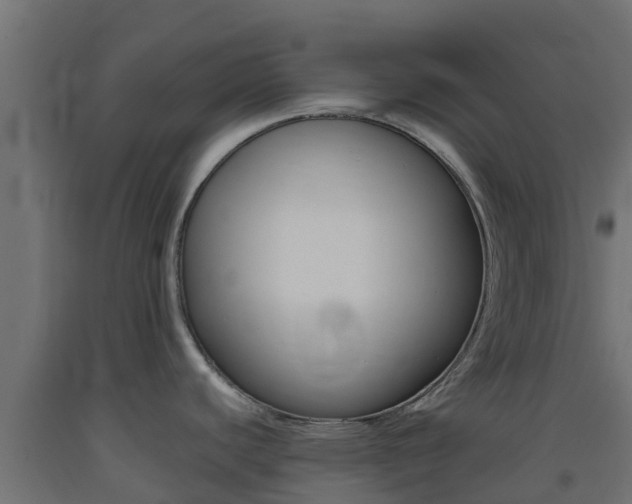 X0000093411440200710120907