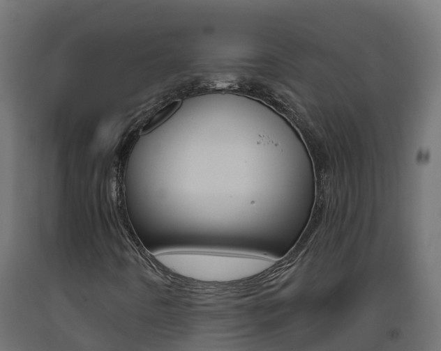 X0000093411442200710120906