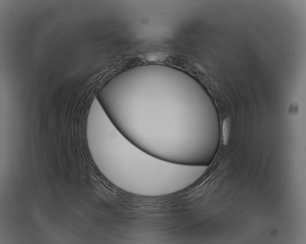 X0000093411443200710120906