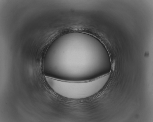 X0000093411444200710120906