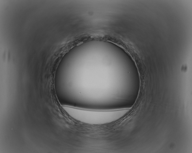 X0000093411445200710120906