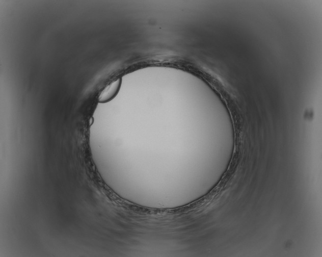 X0000093411447200710120906