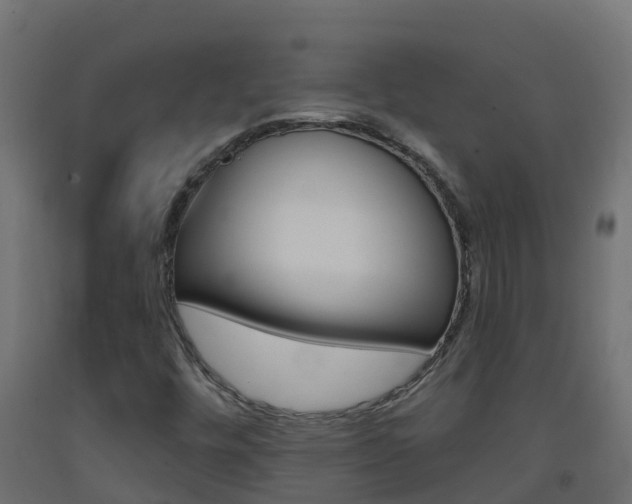 X0000093411448200710120906