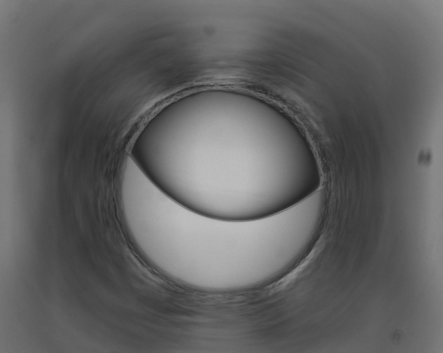 X0000093411449200710120906