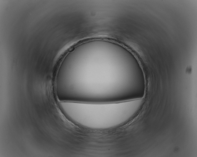 X0000093411452200710120906