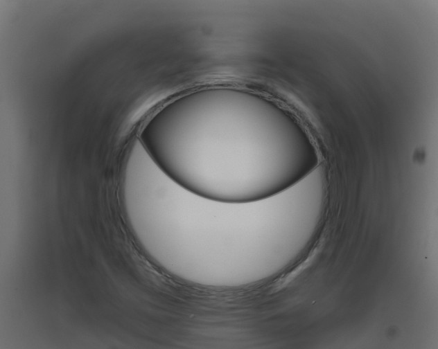 X0000093411453200710120906