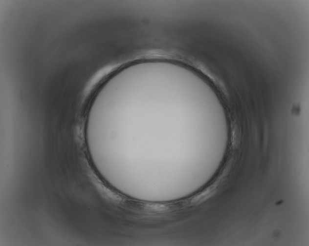 X0000093411454200710120906