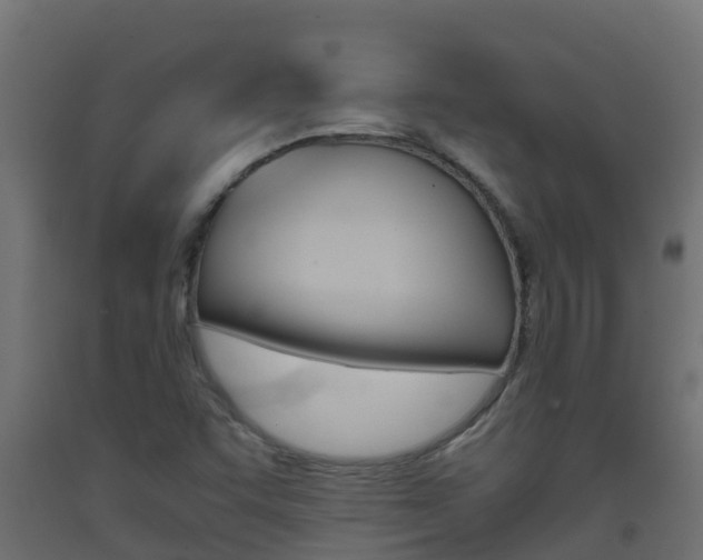 X0000093411455200710120906