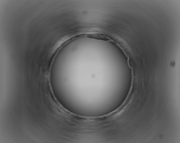X0000093411457200710120906