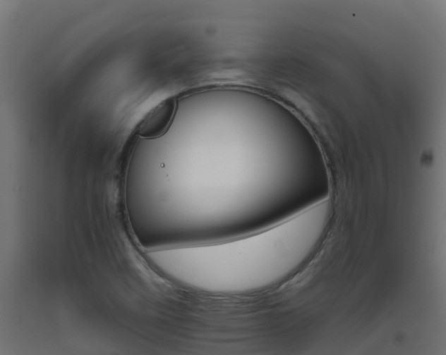 X0000093411458200710120906