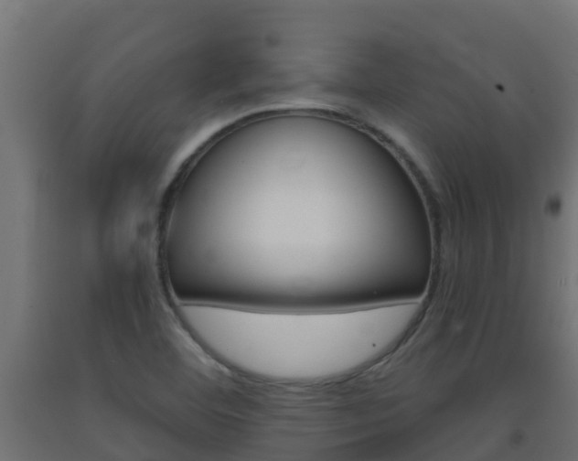 X0000093411460200710120906
