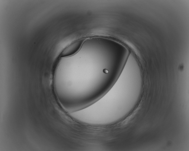 X0000093411461200710120906