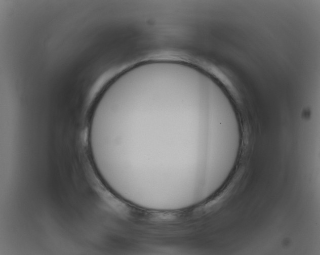 X0000093411462200710120906